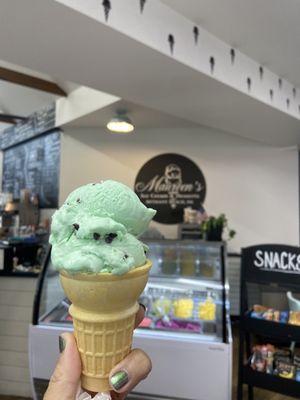 VEGAN non-dairy mint chocolate chip ice cream