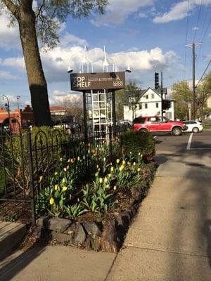 Tulip time right around the corner