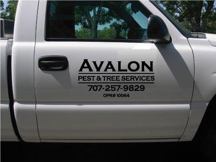 Avalon Pest & Tree Services