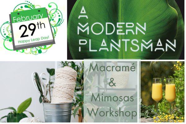 Macrame & Mimosas Workshop