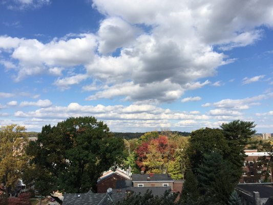 View from living room