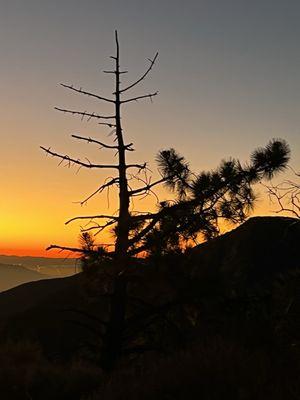 Fishlake National Forest