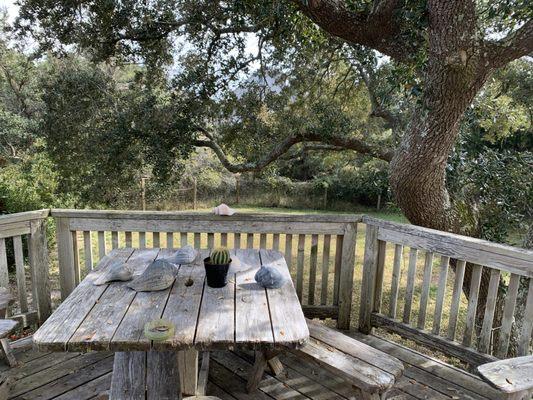 We loved the backyard, and so did the dogs! Plenty of space to relax.