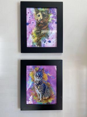 Portraits of Dandy who roams around the spa and may greet you on the counter.