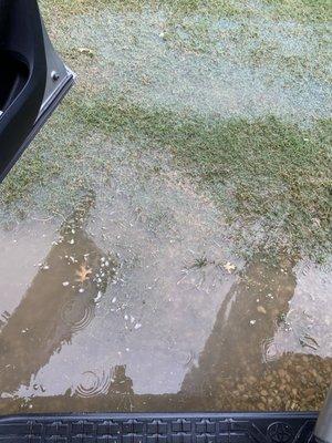 It was all flooded around the slabs, and the ants were covering our boots as we walked through the water to our RV