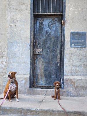 Ginger and Lea training at the old Kingman, AZ.  Jail House.