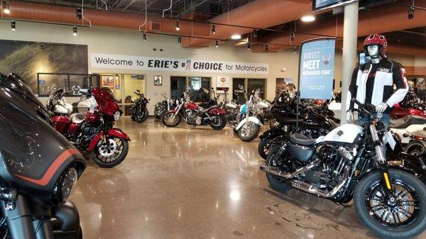 Harley-Davidson of Erie