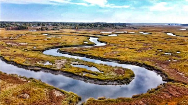 Scarborough Marsh Nature Center