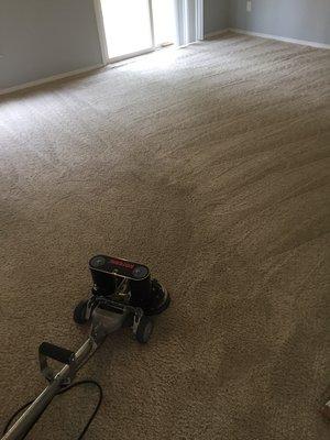 Carpet restoration