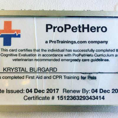 Certified in Cat and Dog CPR through Dec. 2019.