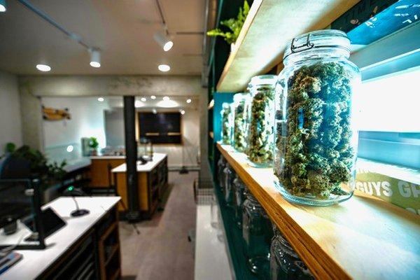 Inside our Marijuana Cannabis Dispensary Anchorage