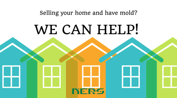 NERS provides complete solutions for mold, fire and water damage restoration, as well as improving the indoor air quality.