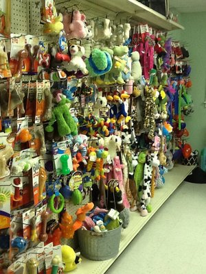 Come by and check out our large selection of toys for your furry friends.