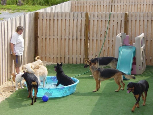 Summer daycare includes pool time