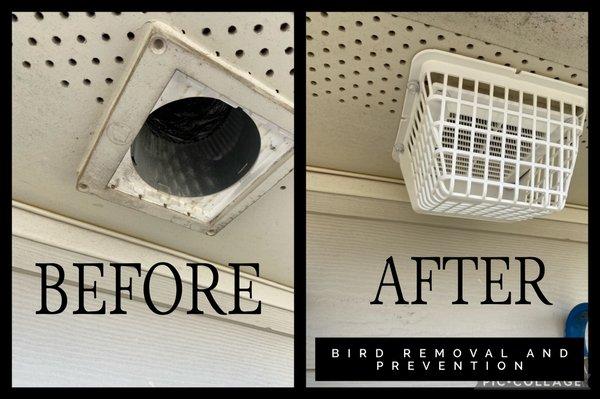 Bird proofing