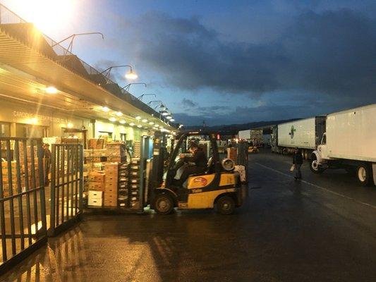 Forklift crossing