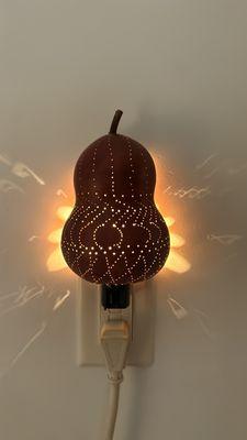 My gourd night light, project at Gourdlandia.