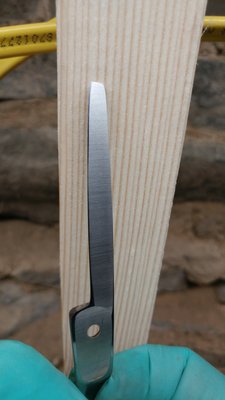 A thinning shears "straight blade". Look at that perfect ride line!