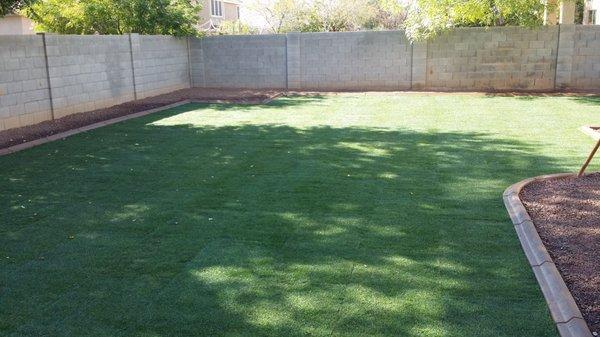 Old grass removed, new sod installed