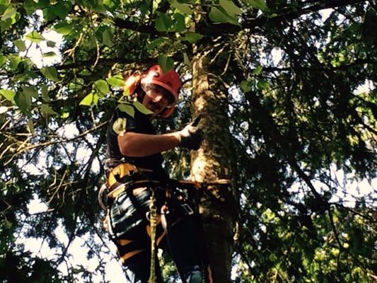 R & E Tree Service