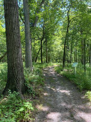 Walking along the trail between the grandparents houses