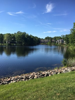 Lake paths