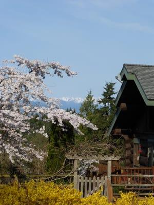 Pacific Willow Lodge on Bainbridge Island.  Your Pacific Northwest Escape