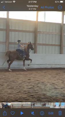 I rode spud yesterday he was so so good