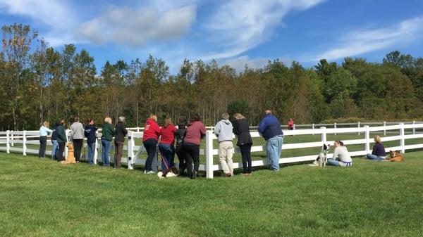 Attendees observe a training exercise during one of our trainer/handler events.