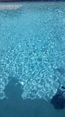 Crystal clear pools is what you get with surfs up pool service   Contact us today!