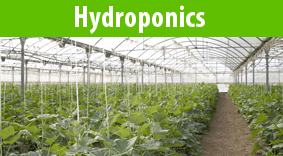 Harvest Moon Hydroponics