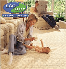 Eco Dry Carpet Cleaning