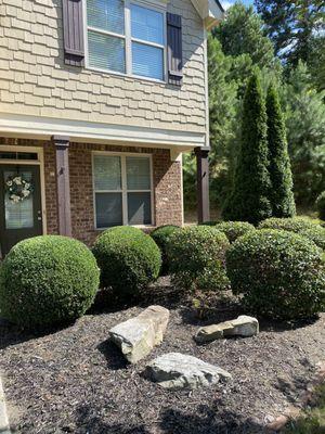 Trimmed shrubs!