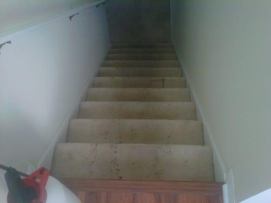 Stairs Before :(