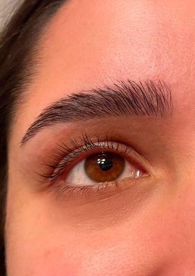 Lash Lift, Lash Tint, Brow Lamination, & Brow Tint