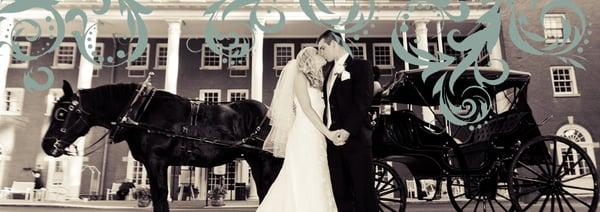 Make your fairy tale wedding dreams come true with our horses and carriages- even a Cinderella carriage!