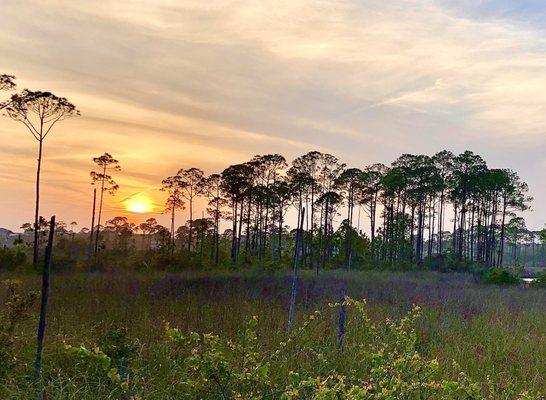 Grayton Beach State Park