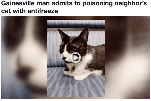 Owner of business admits to poisoning neighbors cat.