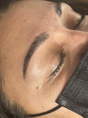 Eyebrow Lamination