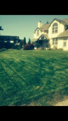 This is a lawn we take care of.