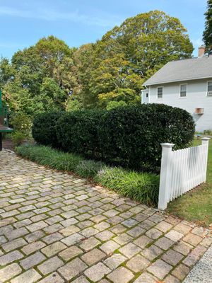 Landscaper in Niantic CT