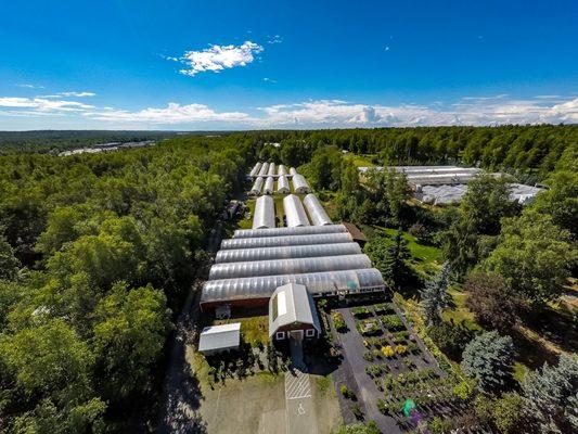 Jacobson's Greenhouse & Nursery