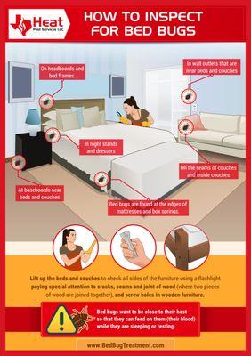 How to inspect for bed bugs infographic