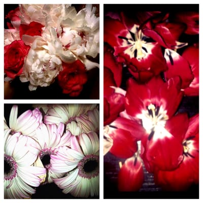 Gorgeous flowers purchased from Fresco Back Bay