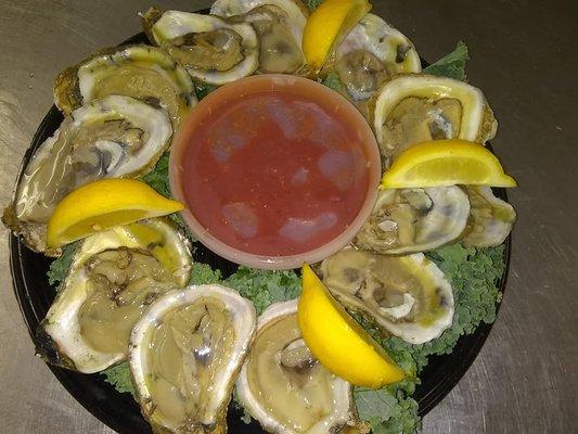 Oysters on the half shell trays!