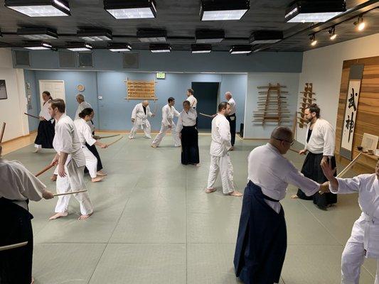 Aikido class