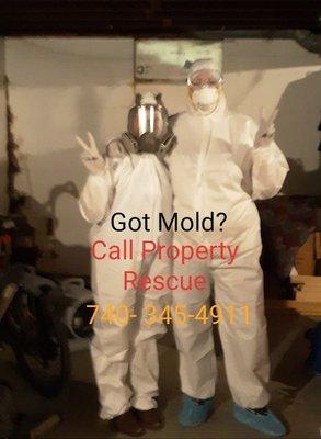 mold damage