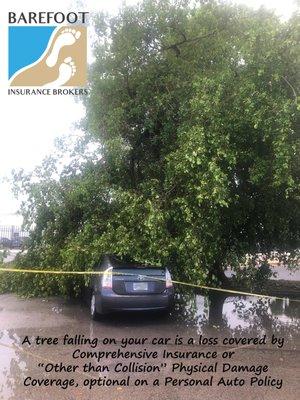 We can't prevent every tragedy--just have coverage secured to prevent financial loss from every tragedy. Call us for auto insurance quotes!