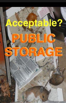 Public Storage Rodent Infestation Problem