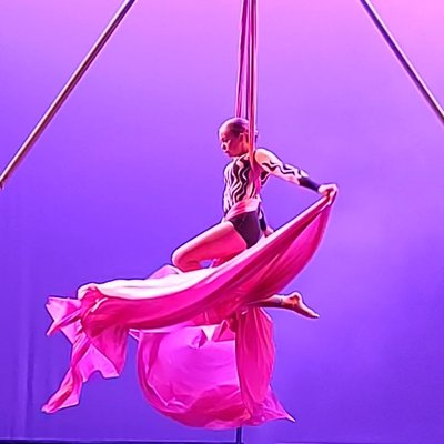 Aerial Silks